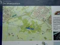 NL, Noord-Brabant, 's Hertogenbosch, Moerputten 41, Saxifraga-Willem van Kruijsbergen
